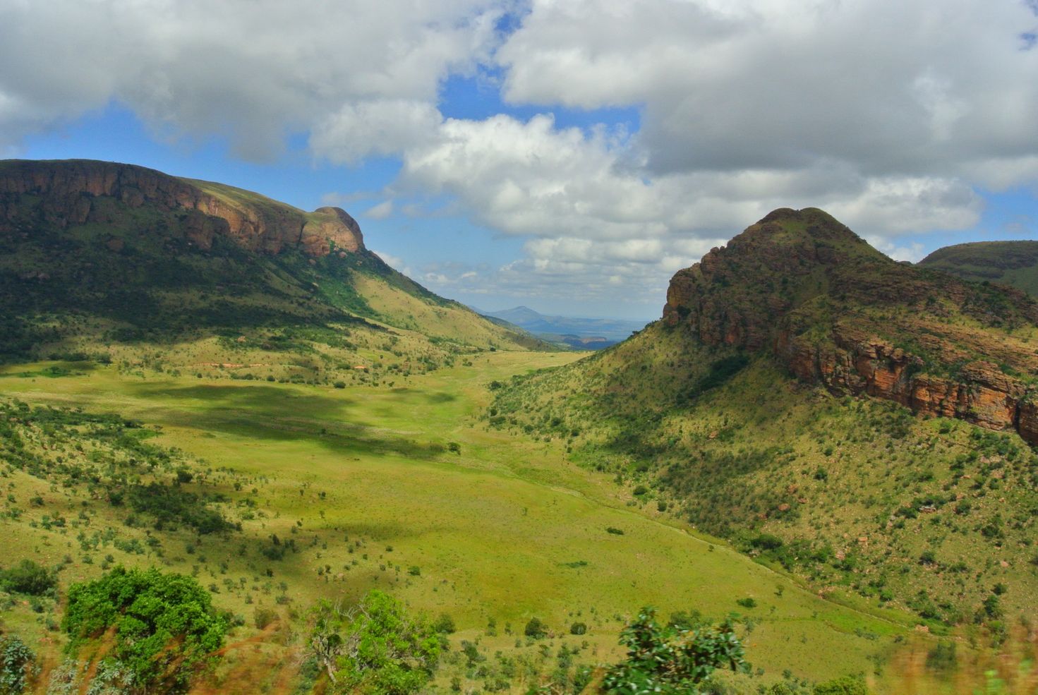 Marakele-National-Park-Limpopo-Province-South-Africa-4