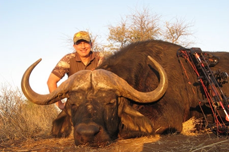 Cape Buffalo(7)