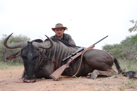 12.Blue Wildebeest