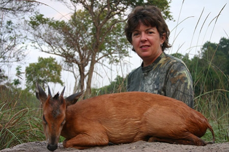 Red Duiker