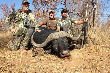 Cape Buffalo(9)