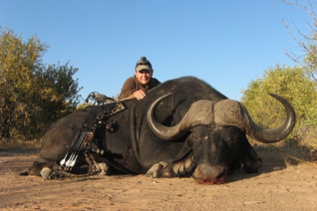 Cape Buffalo(8)