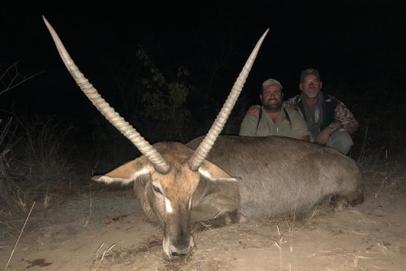 Waterbuck