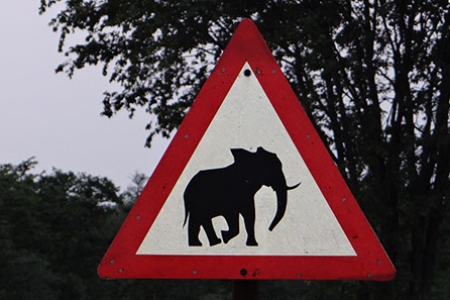 13.African Road Sign