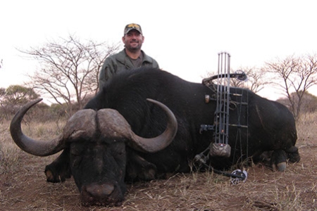 Cape Buffalo(6)