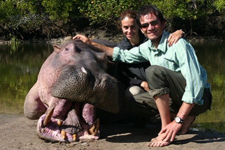 Hippopotamus